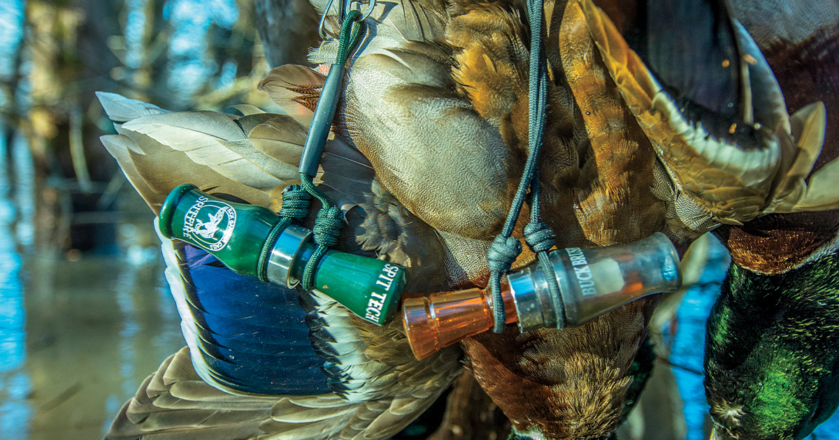 Calling Basics Ducks Unlimited